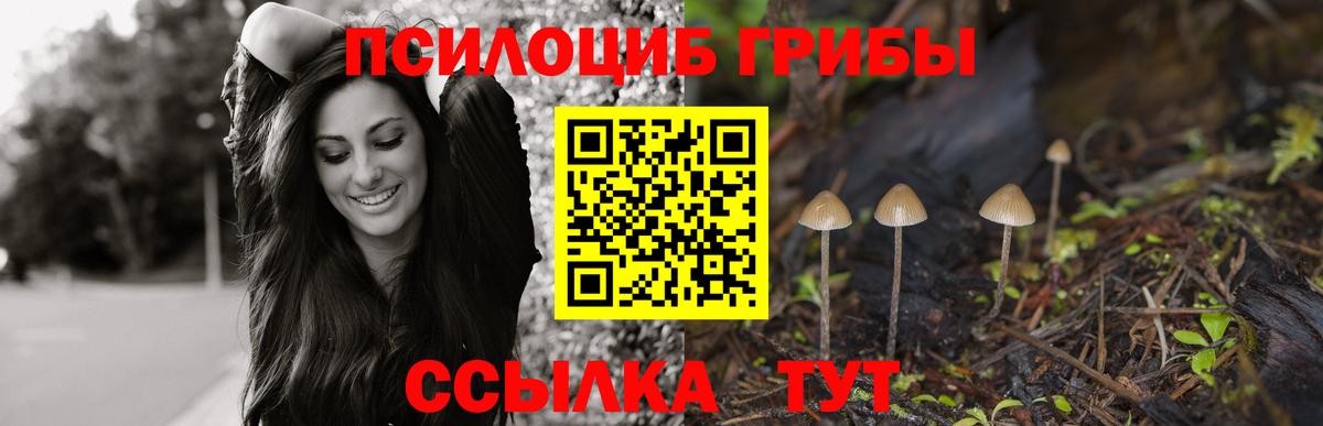 закладка  Вход с VPN  Тихорецк  Псилоцибиновые грибы мухоморы 